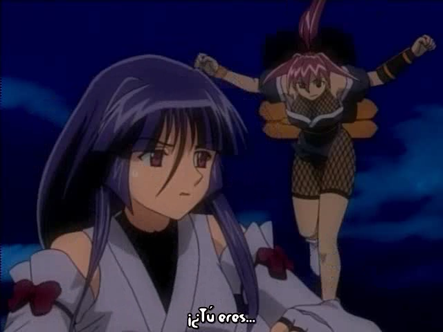 Guardian Hearts (Tai-Rei Fansubs)